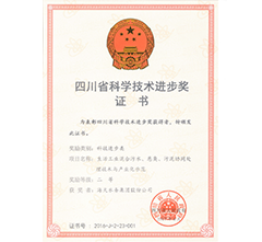 Second Prize of the Sichuan Provincial Science and Technology Progress Award