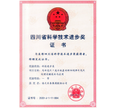 First Prize of the Sichuan Provincial Science and Technology Progress Award