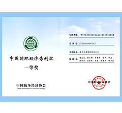China Circular Economy Patent Award
